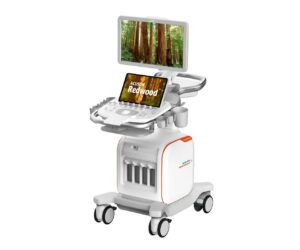 ACUSON Redwood Ultrasound System