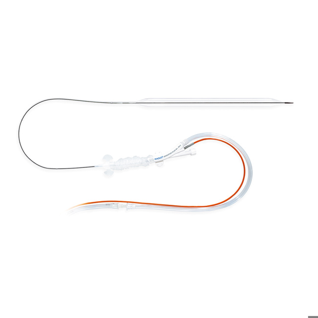 Sensation Plus 7.5 Fr. & 8 Fr. IAB Catheters