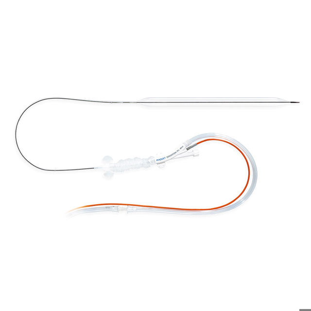 Sensation 7 Fr. IAB Catheter