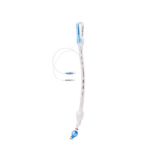 Shiley™ Endobronchial Tube